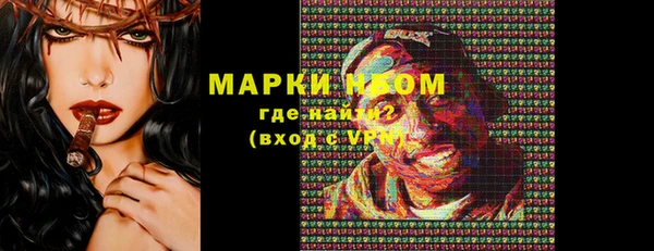 шишки Аркадак