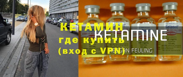 шишки Аркадак