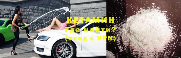 шишки Аркадак