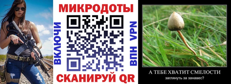 Псилоцибиновые грибы прущие грибы  Ногинск 